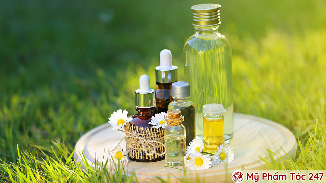 Mỹ Phẩm Tóc Thuần Chay Là Gì?